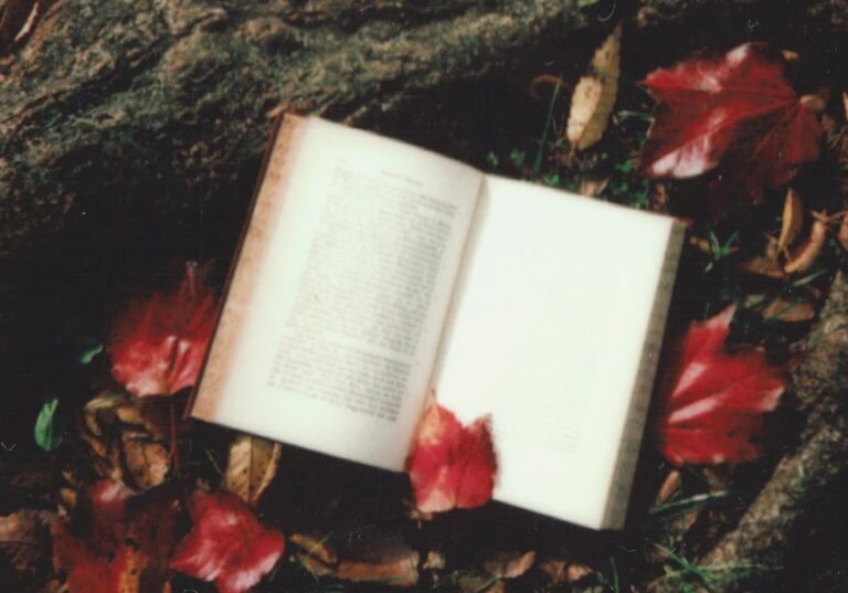 NUME02.A – CRÉER SES PROPRES LIVRES NUMÉRIQUES