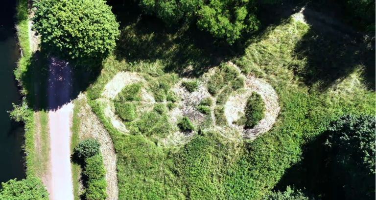 Crop Circle 2026 : Quand le drone révèle l’art éphémère des élèves de Courrières